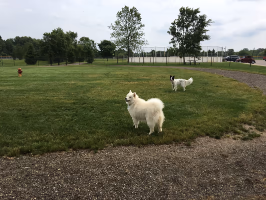 South Westnedge Dog Park photo 2